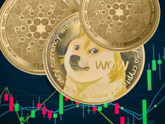 Dogecoin Millionaire Says He's Going 'All in' on Cardano — Bullish on Both DOGE and ADA