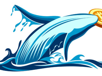 Picture of a whale holding a bitcoin in its mouth