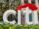 Citigroup to Hire 100 People for Its Crypto Division: Report