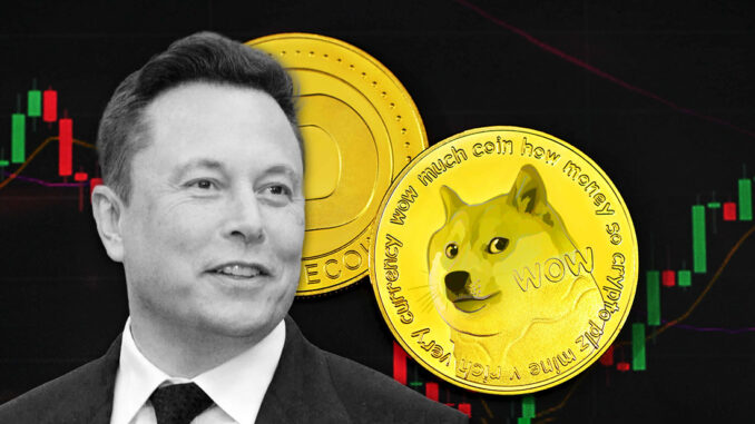 Dogecoin price spikes 20% after Elon says Tesla will accept it as payment for merchandise