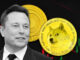 Dogecoin price spikes 20% after Elon says Tesla will accept it as payment for merchandise