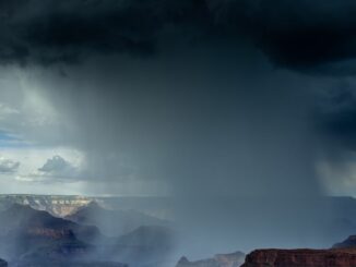 Play-to-Earn Platform Rainmaker Nabs $6.5M Seed Round