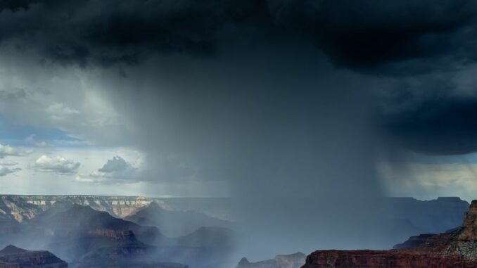 Play-to-Earn Platform Rainmaker Nabs $6.5M Seed Round