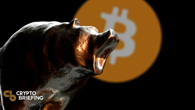 Bitcoin Hits Six-Month Low as Crypto Market Plummets