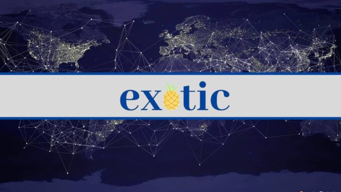 Exotic Markets Closes $5M Funding Round from Alameda Research, Animoca Brands