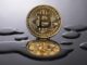 Bitcoin Bloodbath Continues, Bears Grip Put in Extreme Fear Territory