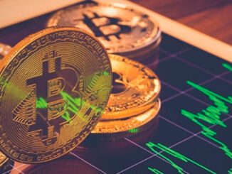 Bitcoin Market Dominance Hit Highest Since November 2021, No Alt Season in Sight