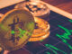Bitcoin Market Dominance Hit Highest Since November 2021, No Alt Season in Sight