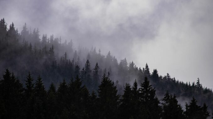 SAND Token, Below 200-Day MA, Joins Broader Crypto Market in Gloomy Outlook