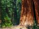 Sequoia Capital Looking to Raise Up to $600M for New Crypto Fund