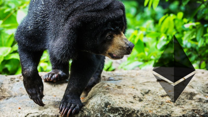 Bear next to Ethereum