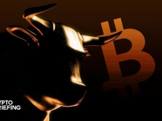 Bitcoin's Network Activity Is Soaring. What Comes Next?