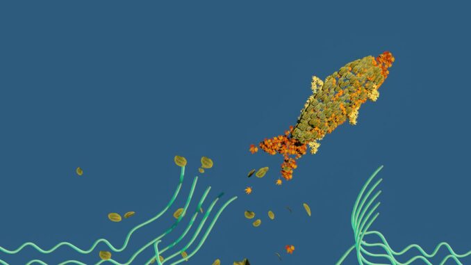 Bitcoin 'Minnows' Are Punching Above Their Weight Class; BTC Holds Around $41,500, APE Surges on Rumors