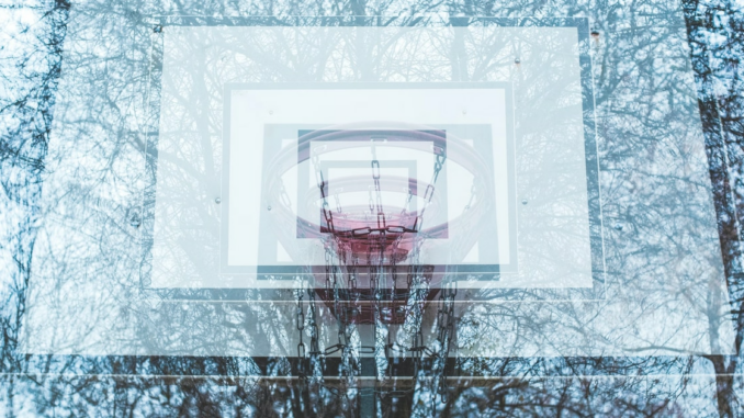 Bitcoin Rebounds Amid Lower Volatility, Altcoins Outperform