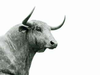 Bitcoin Bull