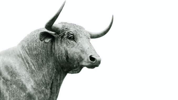 Bitcoin Bull
