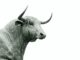 Bitcoin Bull