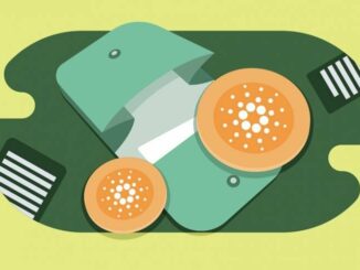 Cardano wallets