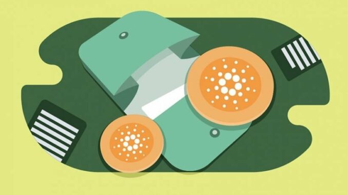 Cardano wallets