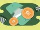 Cardano wallets