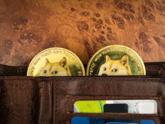 Robinhood CEO on how Dogecoin can be improved to outperform VISA