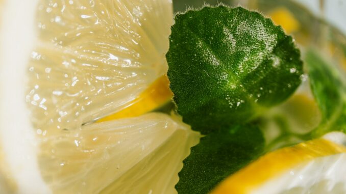 The Nightly Mint: Daily NFT Recap