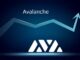 What is making Avalanche's AVAX price rise as majority of cryptocurrencies dip?