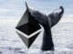 Ethereum whales
