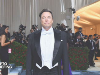 ApeCoin Pumps—Then Dumps—on Musk's Bored Ape Tease