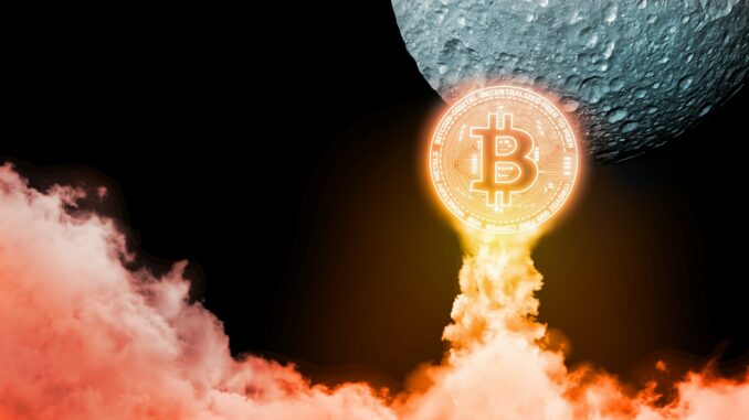 Bitcoin Dominance Remains High As Market Sell-Offs Settle