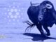 Cardano Primed for Volatility After Steep Correction