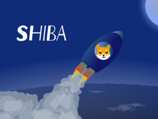 Shiba Inu jumps 27% after getting listed on Rain, a top Middle East crypto exchange