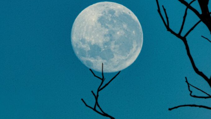 las aplicaciones DeFi de Terra han perdido $28.000 millones