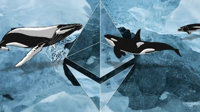 ethereum whales