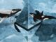 ethereum whales