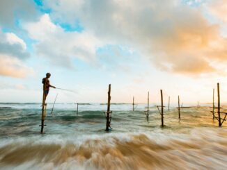 Decoupling of Lido’s Staked ETH Differs From Stablecoin Collapse, CoinShares Says