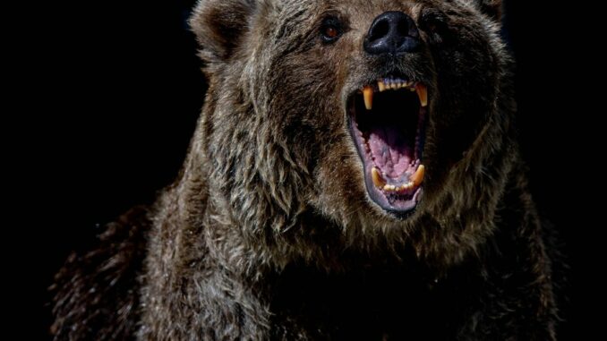 Bitcoin Dips Below $21K; Why the Current Bear Market Differs From 2018