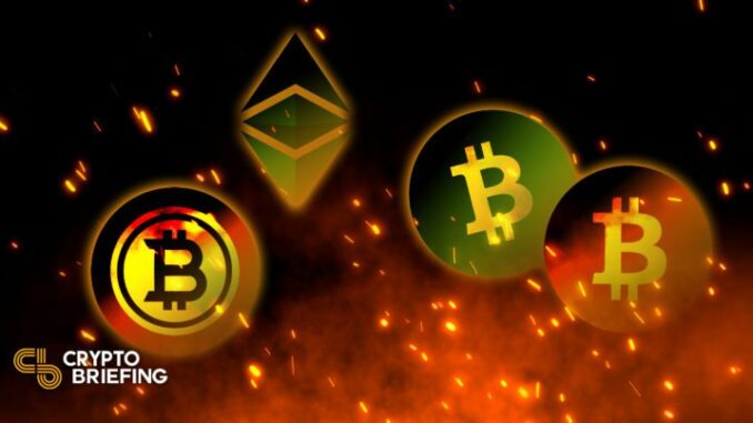 Bitcoin and Ethereum Clones Jump on Market Bounce
