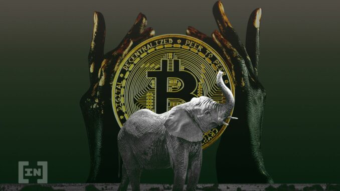 Central African States Bank Board Urges Adoption of Uniform Digital Currency