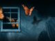 As Censorship on Ethereum Begins, Could This Open-Sourced Code Help Counter It?