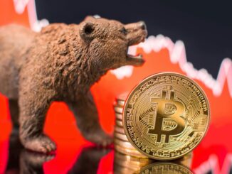 Bitcoin bear