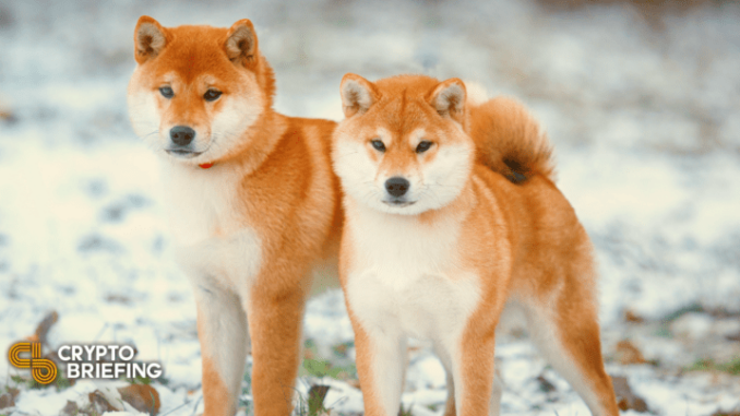 Dogecoin, Shiba Inu Prepare to Break Out