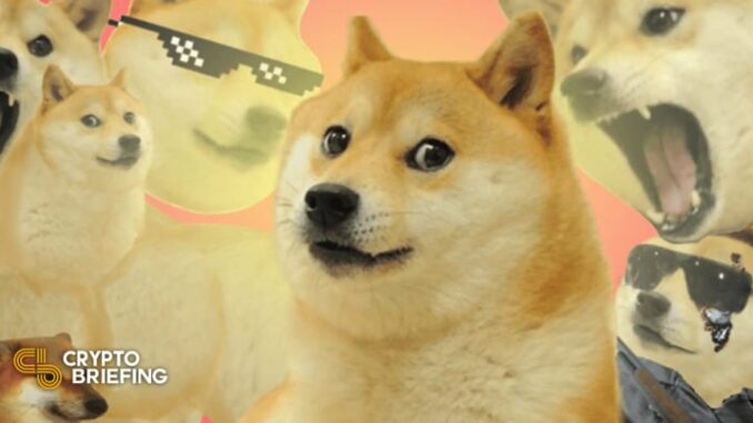 Dogecoin Surges as Ethereum-Compatible Dogechain Gains Pace