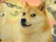 Dogecoin Surges as Ethereum-Compatible Dogechain Gains Pace