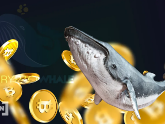 Bitcoin Whale: New Player Buys Three Billion Dollars’ Worth of BTC