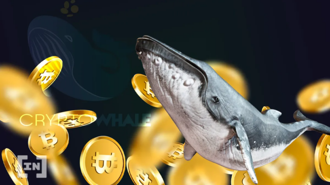Bitcoin Whale: New Player Buys Three Billion Dollars’ Worth of BTC