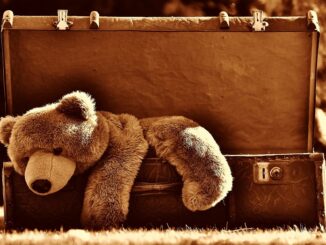 Bear market, a stuffed bear inside a wooden chest