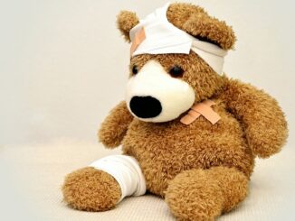 Bear market, a teddy bear healing