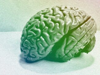 Craig Wright’s Abnormal Psychology