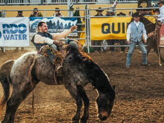 Market Wrap: Bitcoin Takes Investors on a Wild Ride